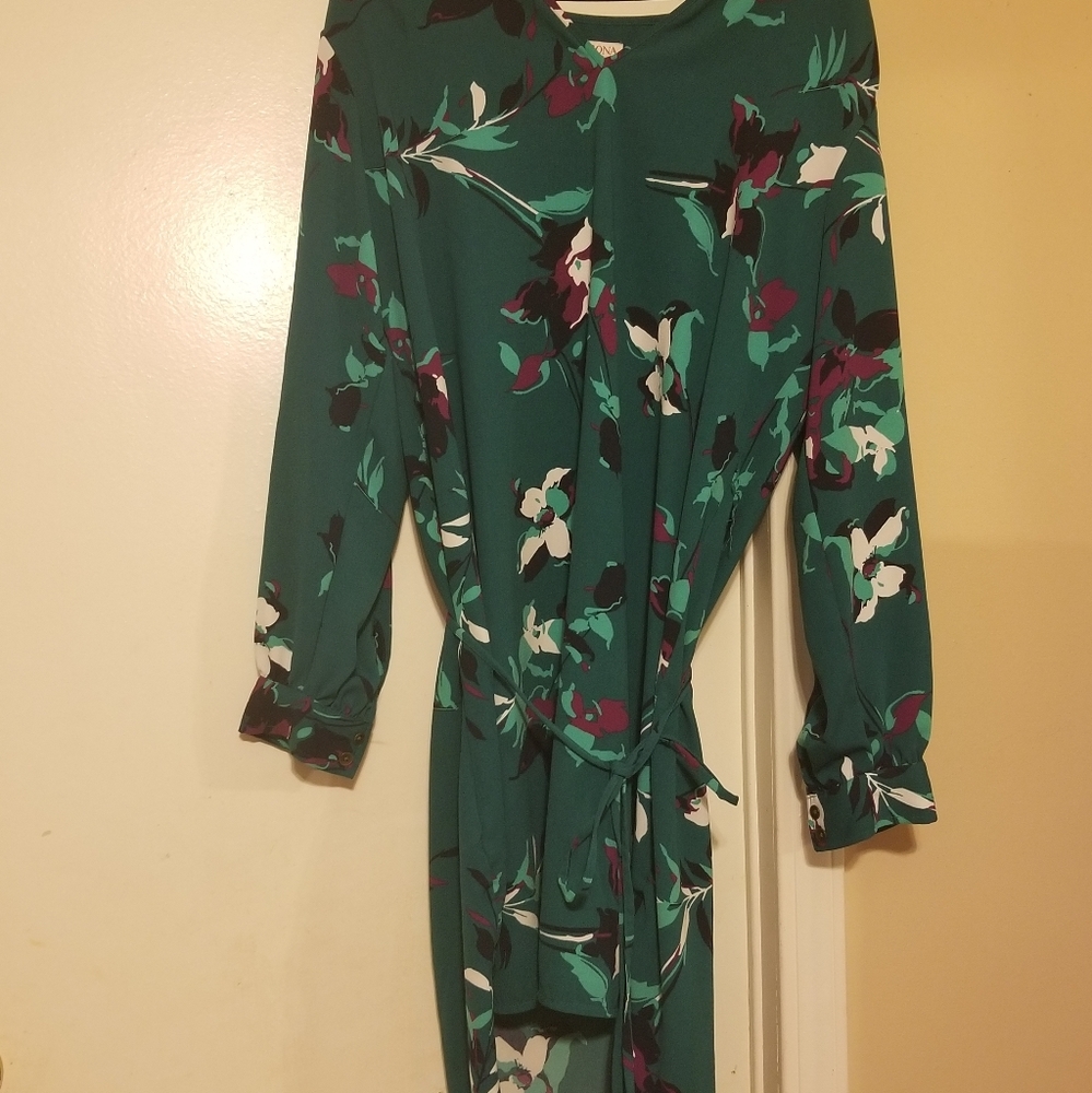 Tunic dress